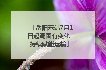 岳阳东站7月1日起调图有变化 持续赋能运输