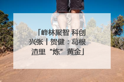 峰林聚智 科创兴张丨贺健：葛根渣里“炼”黄金