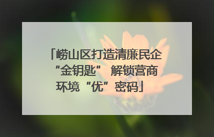 崂山区打造清廉民企“金钥匙” 解锁营商环境“优”密码