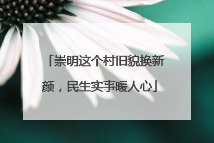 崇明这个村旧貌换新颜，民生实事暖人心
