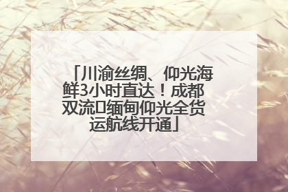川渝丝绸、仰光海鲜3小时直达！成都双流⇌缅甸仰光全货运航线开通