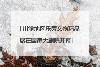 川渝地区乐舞文物精品展在国家大剧院开幕