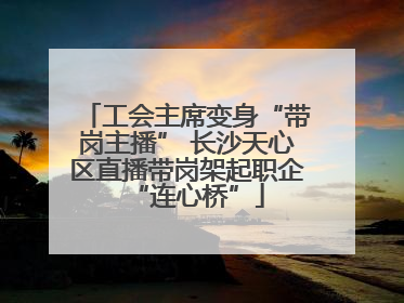 工会主席变身“带岗主播” 长沙天心区直播带岗架起职企“连心桥”