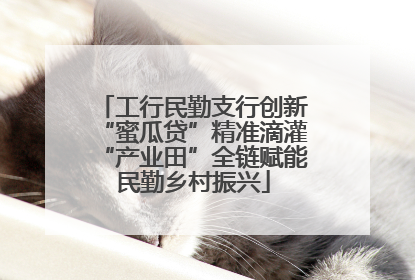 工行民勤支行创新“蜜瓜贷”精准滴灌“产业田”全链赋能民勤乡村振兴
