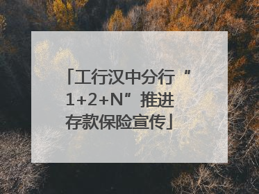 工行汉中分行“1+2+N”推进存款保险宣传