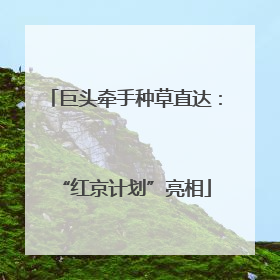 巨头牵手种草直达：“红京计划”亮相