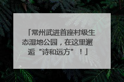常州武进首座村级生态湿地公园，在这里邂逅“诗和远方”！