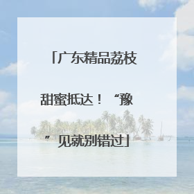 广东精品荔枝甜蜜抵达！“豫”见就别错过