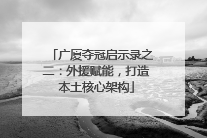 广厦夺冠启示录之二：外援赋能，打造本土核心架构
