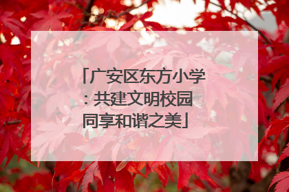 广安区东方小学：共建文明校园 同享和谐之美