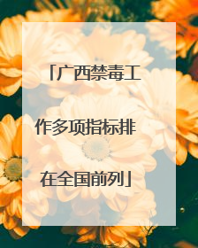 广西禁毒工作多项指标排在全国前列