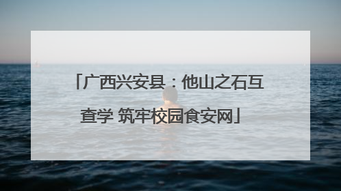 广西兴安县：他山之石互查学 筑牢校园食安网