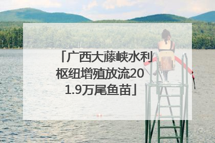 广西大藤峡水利枢纽增殖放流201.9万尾鱼苗