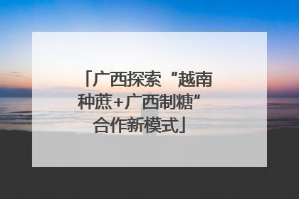 广西探索“越南种蔗+广西制糖”合作新模式