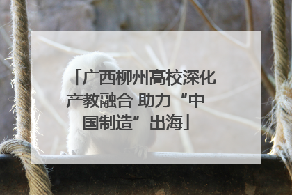 广西柳州高校深化产教融合 助力“中国制造”出海