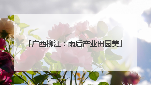 广西柳江：雨后产业田园美