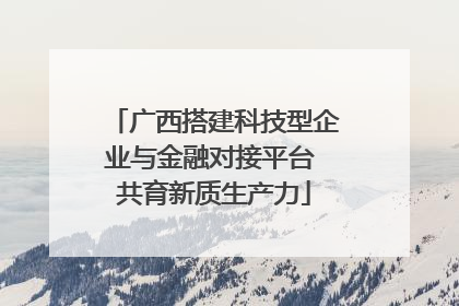 广西搭建科技型企业与金融对接平台 共育新质生产力