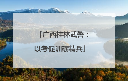广西桂林武警：以考促训砺精兵