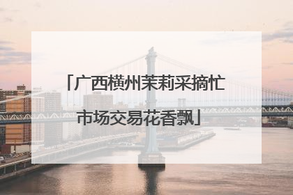 广西横州茉莉采摘忙 市场交易花香飘