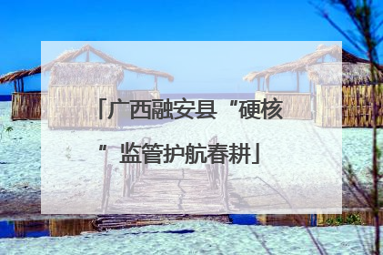广西融安县“硬核”监管护航春耕