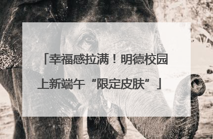 幸福感拉满！明德校园上新端午“限定皮肤”