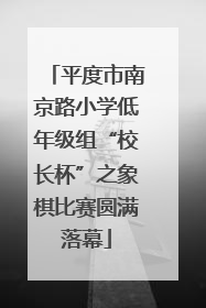 平度市南京路小学低年级组“校长杯”之象棋比赛圆满落幕