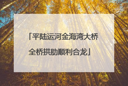 平陆运河金海湾大桥全桥拱肋顺利合龙