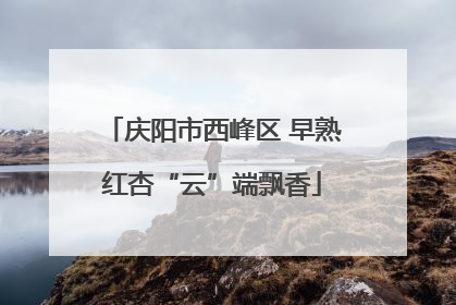 庆阳市西峰区 早熟红杏“云”端飘香