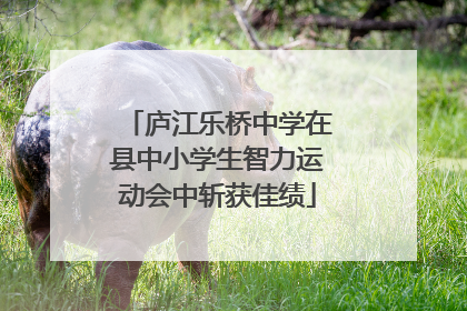 庐江乐桥中学在县中小学生智力运动会中斩获佳绩