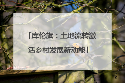 库伦旗：土地流转激活乡村发展新动能