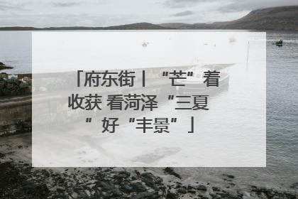 府东街丨“芒”着收获 看菏泽“三夏”好“丰景”