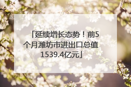 延续增长态势！前5个月潍坊市进出口总值1539.4亿元