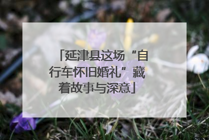 延津县这场“自行车怀旧婚礼”藏着故事与深意