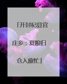 开封杞县官庄乡：夏粮归仓入廪忙