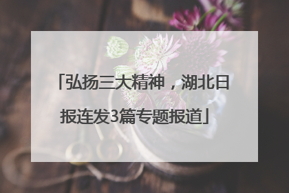 弘扬三大精神，湖北日报连发3篇专题报道