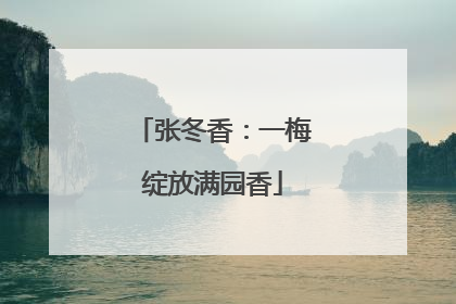 张冬香：一梅绽放满园香