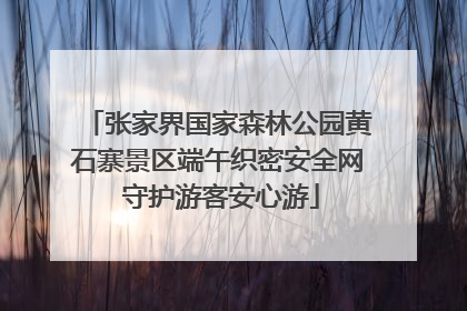 张家界国家森林公园黄石寨景区端午织密安全网 守护游客安心游