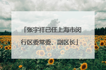 张宇祥已任上海市闵行区委常委、副区长
