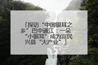 探访“中国银耳之乡”巴中通江：一朵“小银耳”成为富民兴县“大产业”