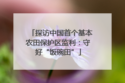 探访中国首个基本农田保护区监利：守好“饭碗田”