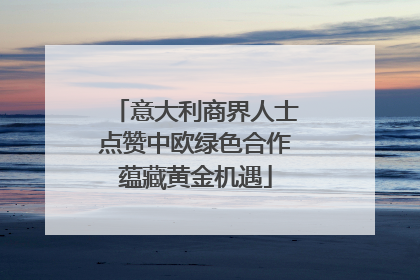 意大利商界人士点赞中欧绿色合作蕴藏黄金机遇