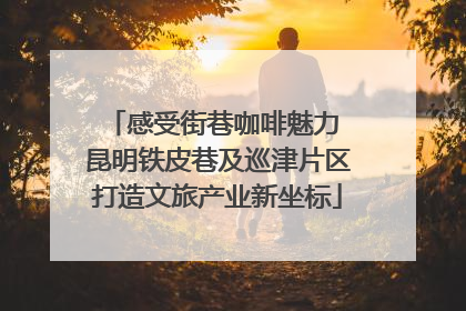 感受街巷咖啡魅力 昆明铁皮巷及巡津片区打造文旅产业新坐标