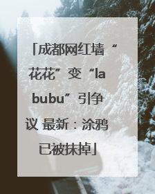 成都网红墙“花花”变“labubu”引争议 最新：涂鸦已被抹掉