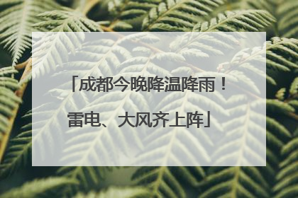 成都今晚降温降雨！雷电、大风齐上阵