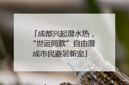 成都兴起潜水热，“世运同款”自由潜成市民避暑新宠