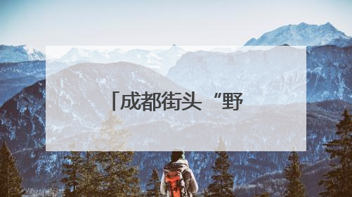 成都街头“野鸡妈妈带崽过马路”，车辆排队让行暖人心