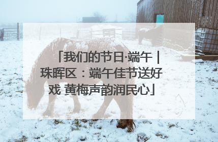 我们的节日·端午｜珠晖区：端午佳节送好戏 黄梅声韵润民心