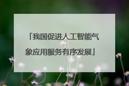 我国促进人工智能气象应用服务有序发展