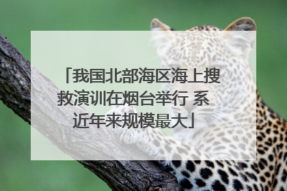我国北部海区海上搜救演训在烟台举行 系近年来规模最大
