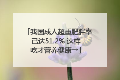 我国成人超重肥胖率已达51.2% 这样吃才营养健康→
